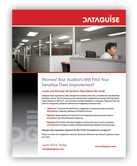 Dataguise Ad